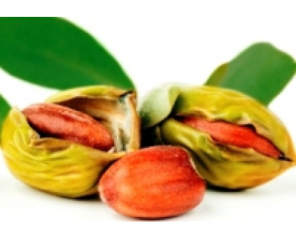 Масло Жожоба Хітек - Аромазона (Jojoba oil Hytek - Aroma zone), 50 мл, Франція BIO Масло Жожоба Хітек - Аромазона (Jojoba oil Hytek - Aroma zone), 50 мл, Франція BIO