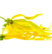 Гідролат Іланг - Іланг (Ylang Ylang hydrolate), 100 мл BIO