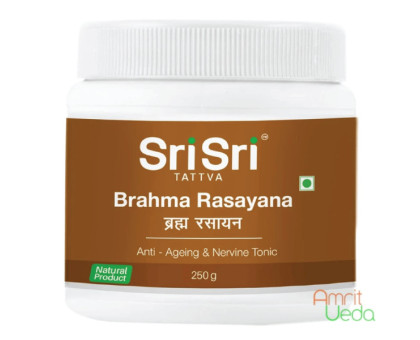 Брахма Расаяна Шрі Шрі Таттва (Brahma Rasayana Sri Sri Tattva), 250 грам Брахма Расаяна Шрі Шрі Таттва (Brahma Rasayana Sri Sri Tattva), 250 грам