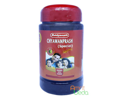 Чаванпраш Спешл Байд'янатх (Chyawanprash Special Baidyanath), 500 грам Чаванпраш Спешл Байд'янатх (Chyawanprash Special Baidyanath), 500 грам