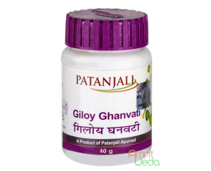 Гілой Патанджалі (Giloy Patanjali), 60 таблеток Гілой Патанджалі (Giloy Patanjali), 60 таблеток