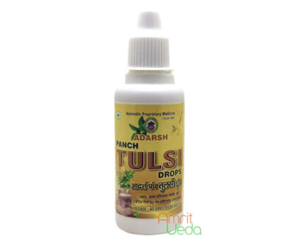 Панч Тулсі дропс Адарш Аюрведік (Panch Tulsi drops Adarsh Ayurvedic), 15 мл Панч Тулсі дропс Адарш Аюрведік (Panch Tulsi drops Adarsh Ayurvedic), 15 мл