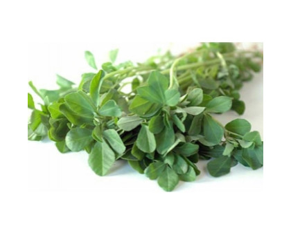 Шамбала листя Анапурна (Kasuri methi Anapurna), 10 грам Шамбала листя Анапурна (Kasuri methi Anapurna), 10 грам