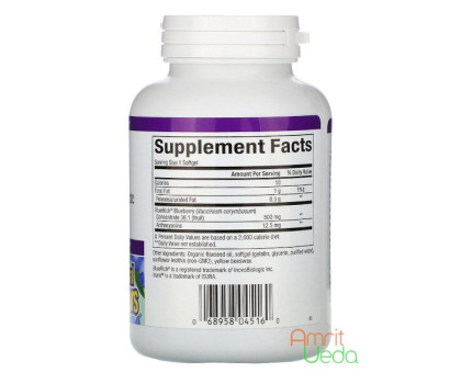 Лохина концентрат Нейчєрел Фекторс (Blueberry concentrate Natural Factors), 90 капсул Лохина концентрат Нейчєрел Фекторс (Blueberry concentrate Natural Factors), 90 капсул