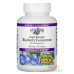Лохина концентрат Нейчєрел Фекторс (Blueberry concentrate Natural Factors), 90 капсул