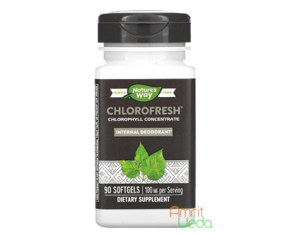 Хлорофреш - концентрат хлорофіллу Нейчер'с Вей (Chlorofresh Nature's Way), 90 капсул Хлорофреш - концентрат хлорофіллу Нейчер'с Вей (Chlorofresh Nature's Way), 90 капсул