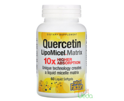 Кверцетин міцелярний 250 мг Нейчєрел Фекторс (Quercetin LipoMicel 250 mg Natural Factors), 30 капсул Кверцетин міцелярний 250 мг Нейчєрел Фекторс (Quercetin LipoMicel 250 mg Natural Factors), 30 капсул