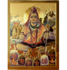 Магніт Шива (Magnet Shiva)